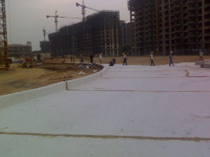 宁夏膨润土防水毯 景观湖防渗的理想选择与采购指南