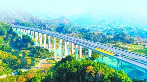 广西全面实现县县通高速，交通网络迈入新时代